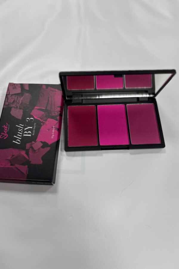 Sleek Blush Palette - Image 3
